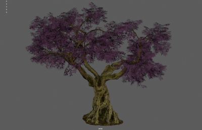 大树古树 桃花树 樱花树塌陷模型