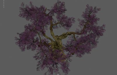 大树古树 桃花树 樱花树塌陷模型