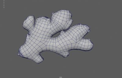 写实老黄姜 生姜 老姜