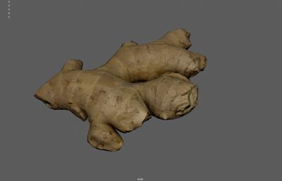 写实老黄姜 生姜 老姜