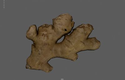 写实老黄姜 生姜 老姜