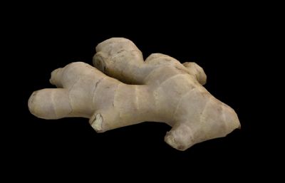 写实老黄姜 生姜 老姜