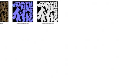 写实老黄姜 生姜 老姜