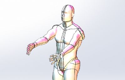 3D人体模型-可自由调节