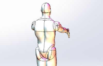 3D人体模型-可自由调节