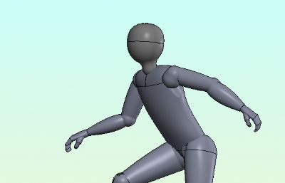 关节可动人体模型