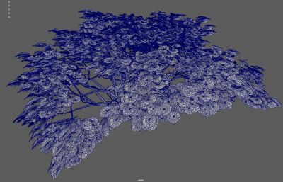 灌木丛绿树 绿化带花圃