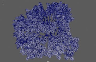 灌木丛绿树 绿化带花圃