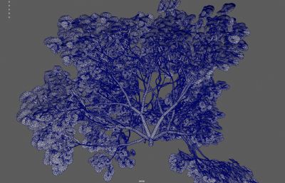 灌木丛绿树 绿化带花圃