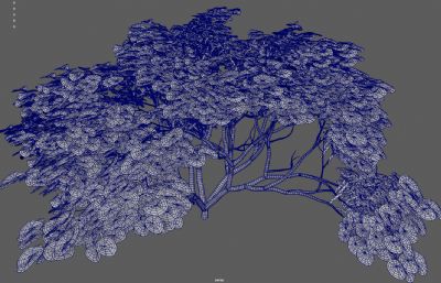 灌木丛绿树 绿化带花圃