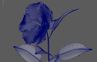 小黄花花草盆栽植物 带花苞开花动画