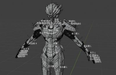 纳米核心巴德尔