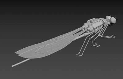 仿生机械蜻蜓,机械豆娘创意3D模型