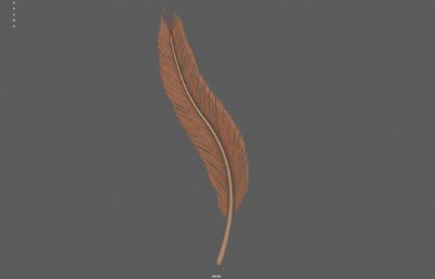 羽毛羽翼 天使羽毛