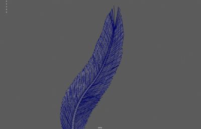 羽毛羽翼 天使羽毛