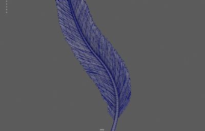 羽毛羽翼 天使羽毛