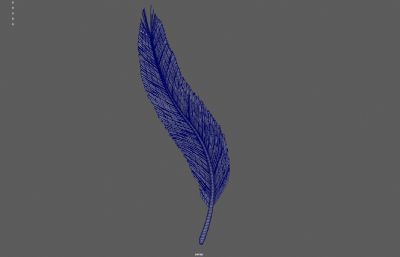 羽毛羽翼 天使羽毛