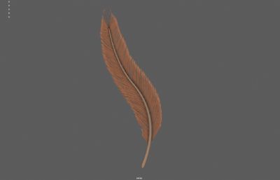 羽毛羽翼 天使羽毛