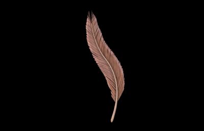 羽毛羽翼 天使羽毛