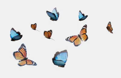 手绘蝴蝶 蝴蝶飞舞 花丛蝴蝶