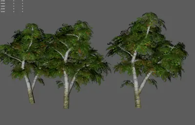 树木 大树古树 景观树