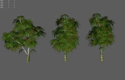 树木 大树古树 景观树