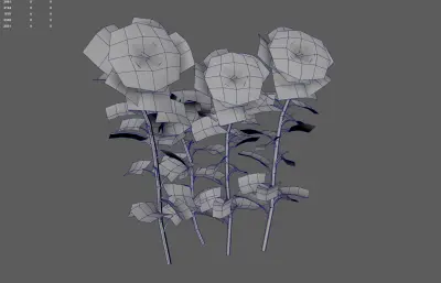 向日葵 太阳花植物