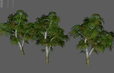 树木 大树古树 景观树