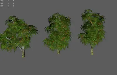 树木 大树古树 景观树