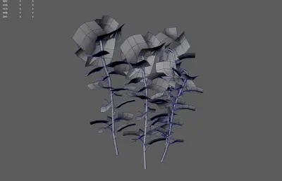 向日葵 太阳花植物