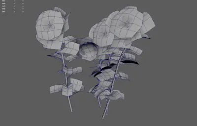 向日葵 太阳花植物