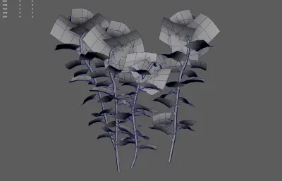 向日葵 太阳花植物