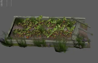 胡萝卜地生态田园 小院菜地