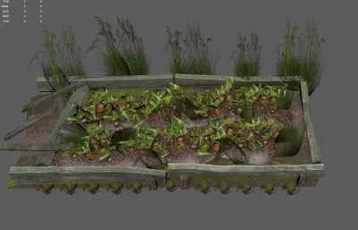 胡萝卜地生态田园 小院菜地