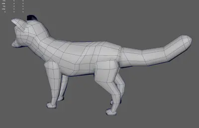 红狐狐狸  赤狐 火狐