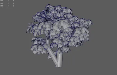 古树 大叔 园林树木