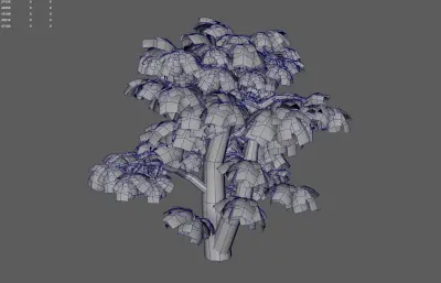 古树 大叔 园林树木