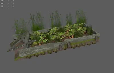 胡萝卜地生态田园 小院菜地