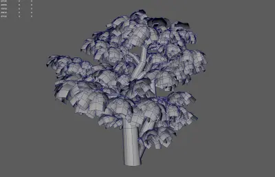 古树 大叔 园林树木