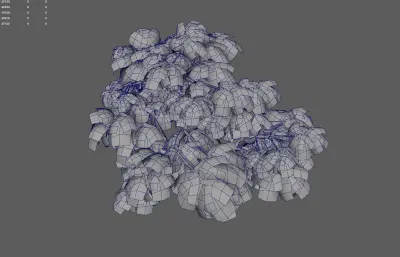 古树 大叔 园林树木