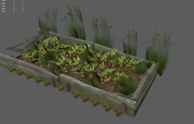 胡萝卜地生态田园 小院菜地