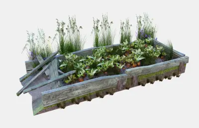 胡萝卜地生态田园 小院菜地