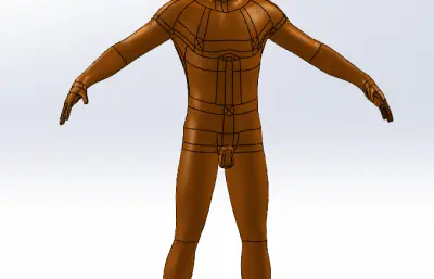 站立伸展人体模型