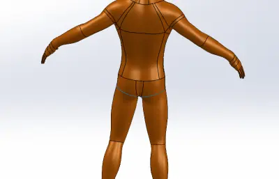 站立伸展人体模型