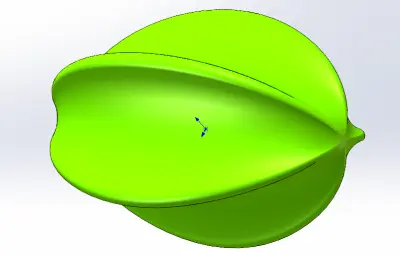 杨桃solidworks模型