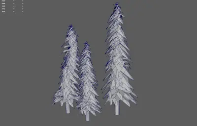 松树 森林树木 针叶树