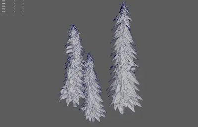 松树 森林树木 针叶树