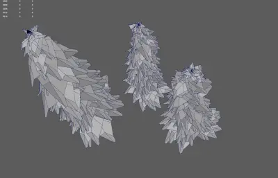 松树 森林树木 针叶树