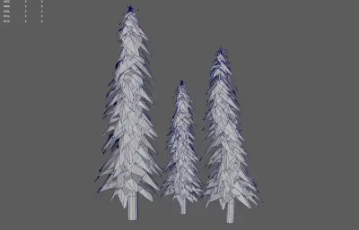 松树 森林树木 针叶树