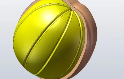 橘子(橙子)的几种形态